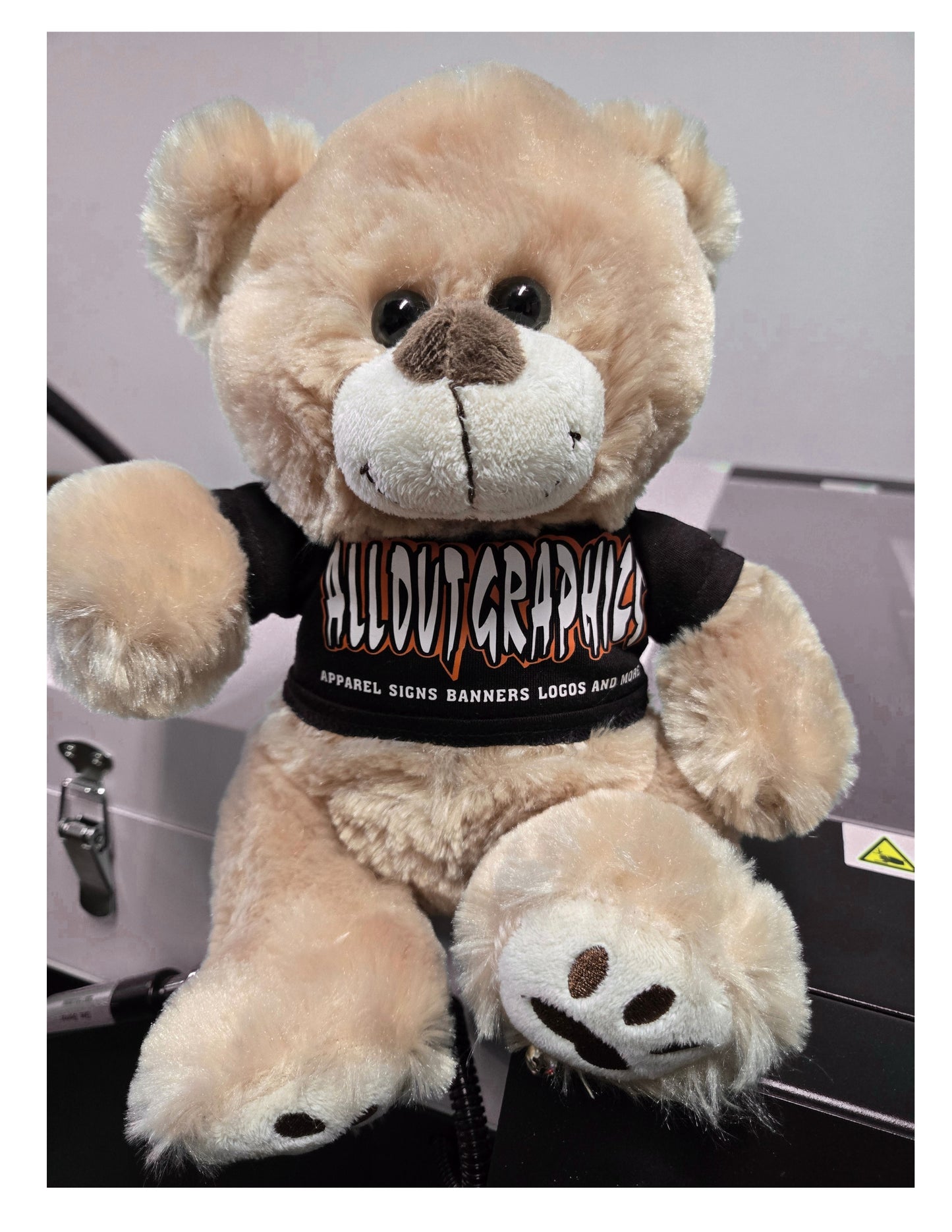 Teddy Bears